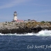 lighthouse_island_seal_machias_h_2223_can1341.jpg